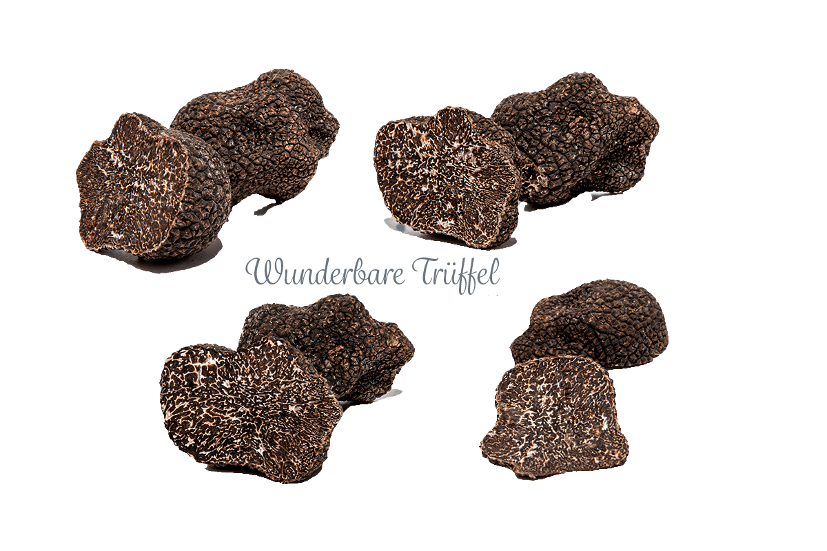 Trüffel