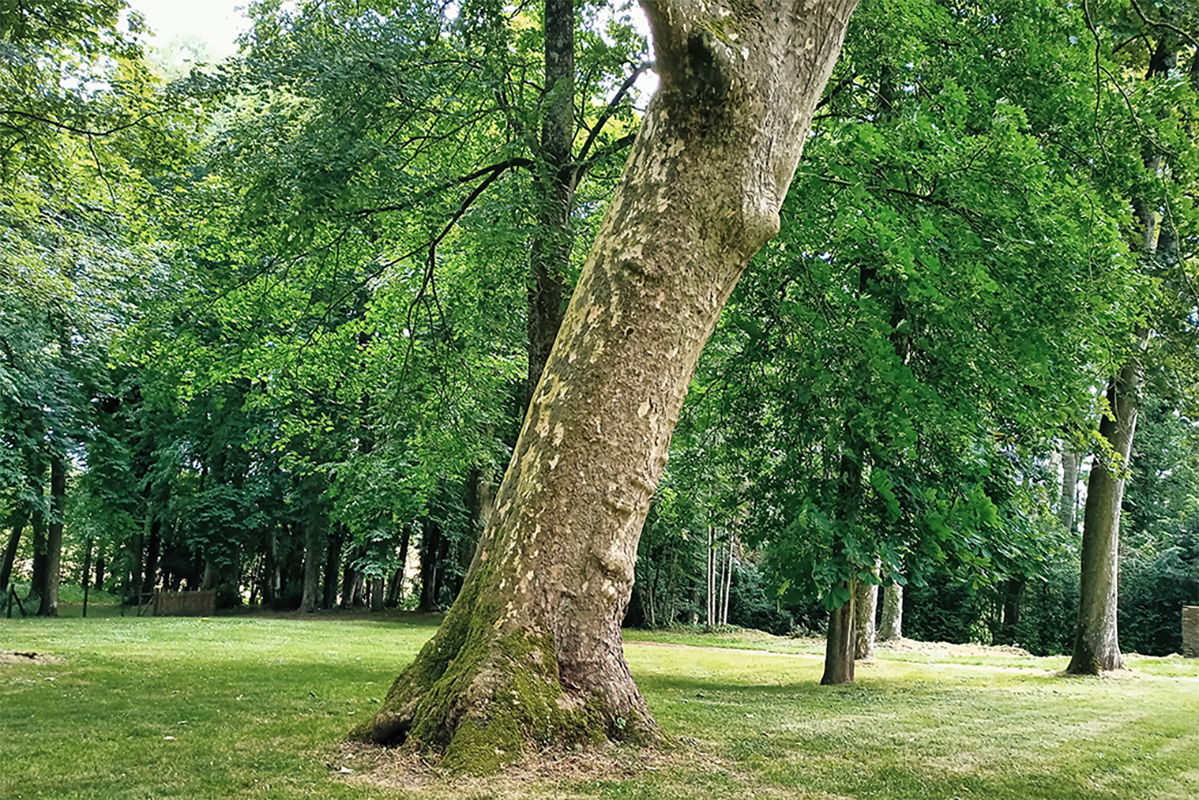 Schloßpark